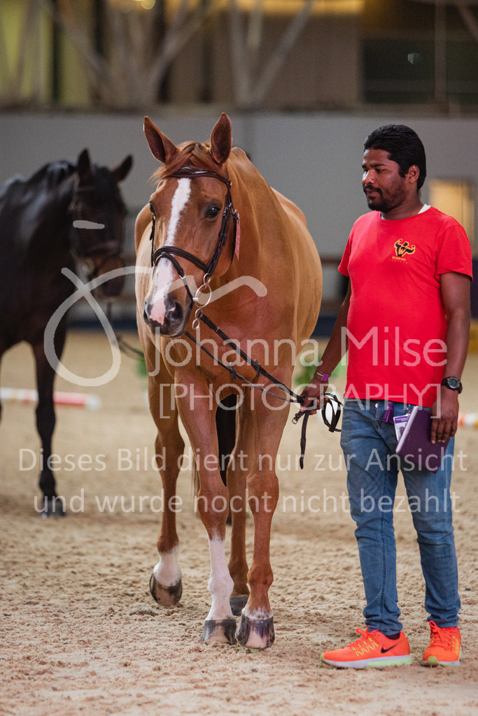 230215_Riyadh_Vet-Check-107 | Deine schönsten Turniermomente als professionelle Fotos! Entdecke hochwertige Pferdesport-Fotografie im Online-Shop. Jetzt Fotos finden & bestellen!