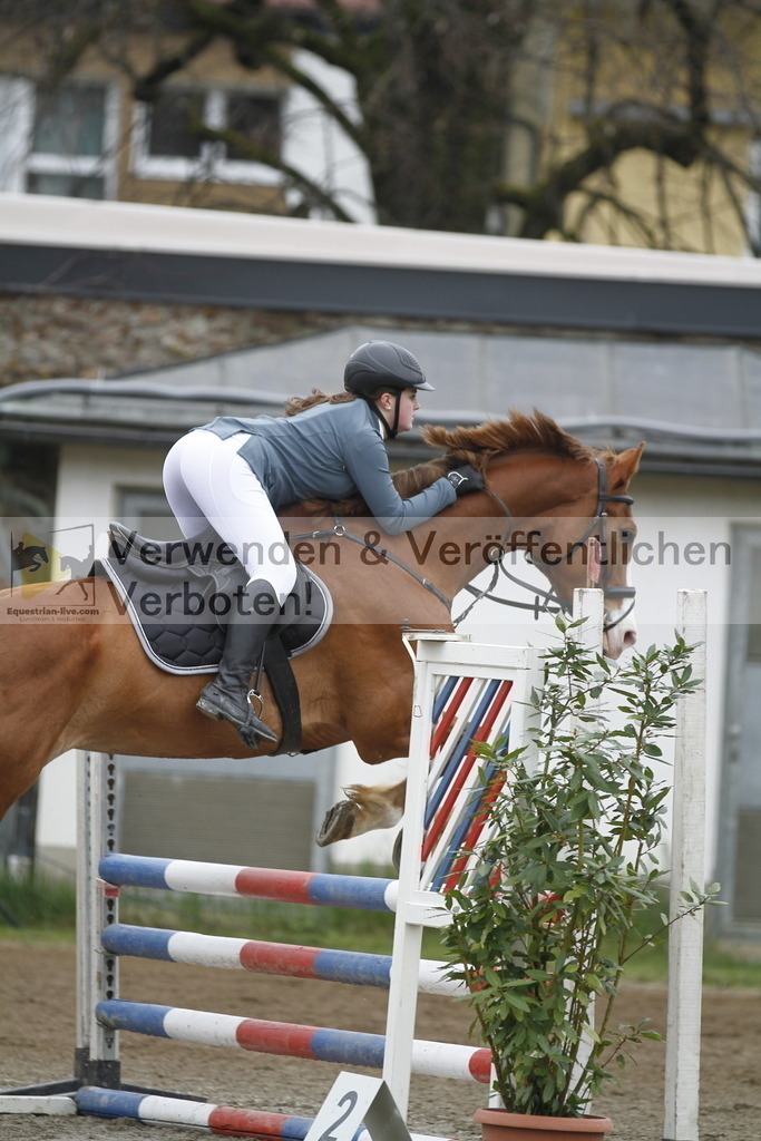 _MG_4442 | equestrian-live-com