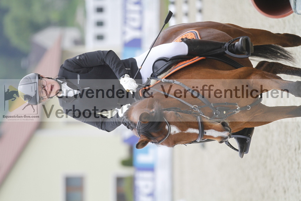 _MG_3652 | equestrian-live-com