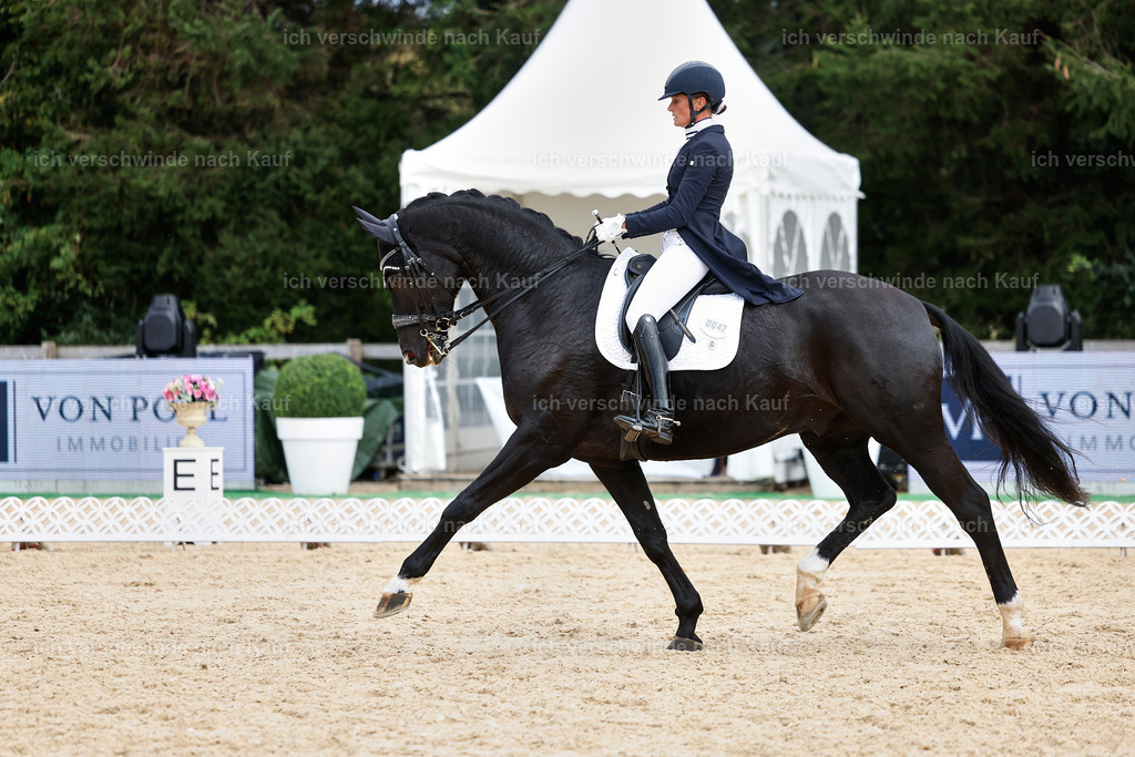 11-042-Dressur S___-StoibPH-1177 | working equitationturnier fotograf videograf stoibphotography marixx film working equitation deutschland reitsport turnierfotografie eventfotografie equestrian events