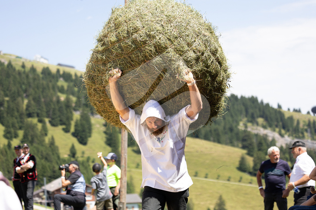 Rigi2025_2116 | Die Schwinger des Schwyzer Kantonalen Schwingerverbandes: Fotos, die Dynamik und Leidenschaft festhalten, sowie emotionale Momente aus dem traditionellen Schwingsport zeigen. - Realisiert mit Pictrs.com