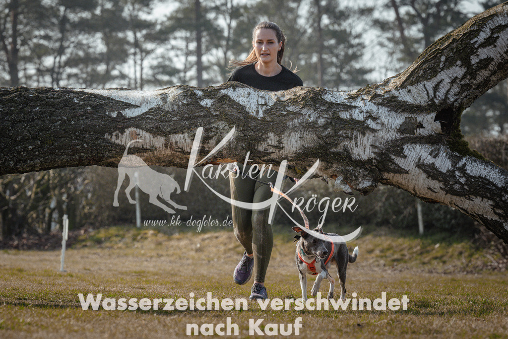 1012_ZZ91800 | kk-dogfotos