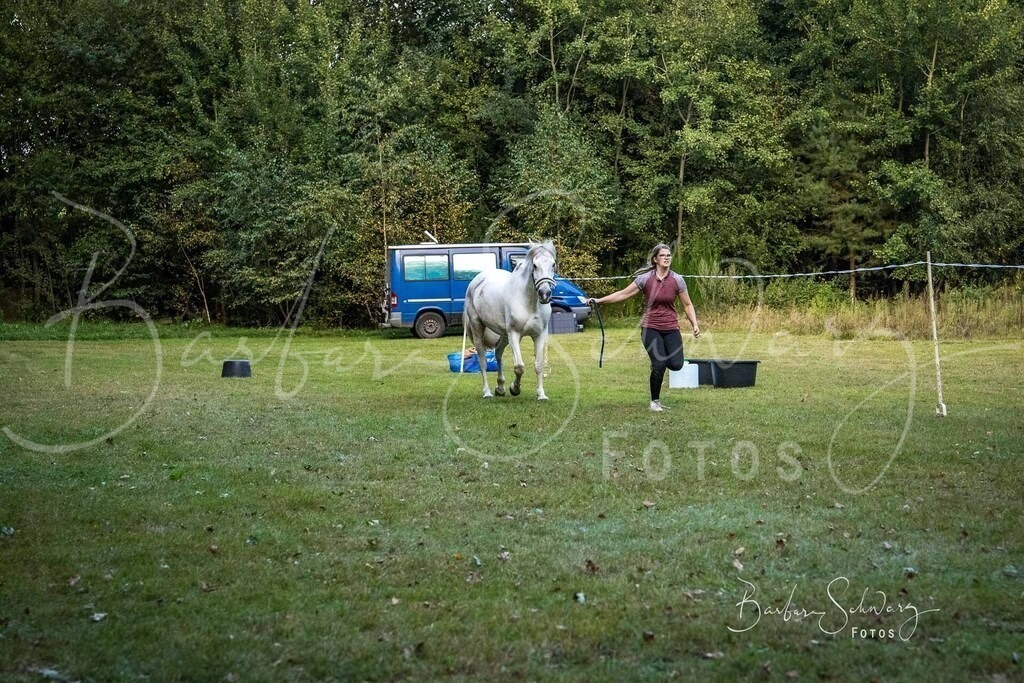 DdLH-NU_2025-09-20_54 | Stimmungsvolle Fotografie von Pferden, fotografische Begleitung von Veranstaltungen, Golfturnieren und Distanzritten - Realisiert mit Pictrs.com