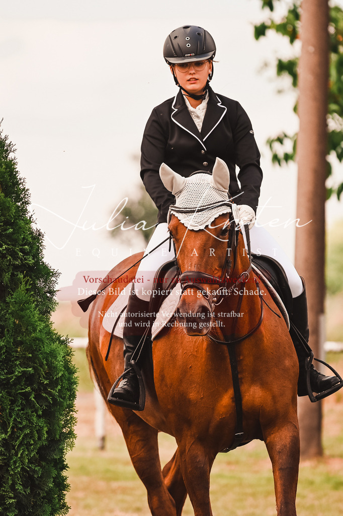 DSC_6850 | Pferde- und Turnierfotografie in Westsachsen. Pferdeportraits, Auftragszeichnungen und intuitive Kunst.