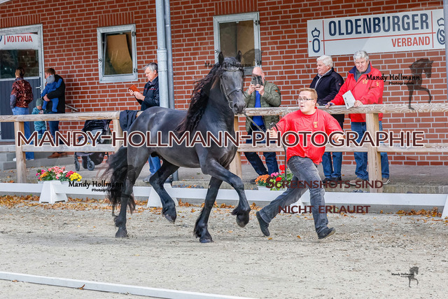 GK (678 von 759) | mandyhollmannphotographie