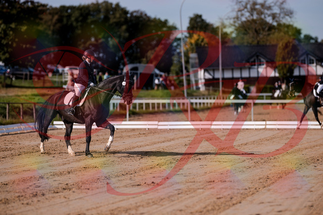 2026_10_03_Siefer-Hof_113609_Z81_80000142 | Professionelle Reitsport-, Turnier- und Eventfotografie von Robert Broda. Galerien mit ausgewählten und bearbeiteten Bildern direkt online ansehen und bestellen.