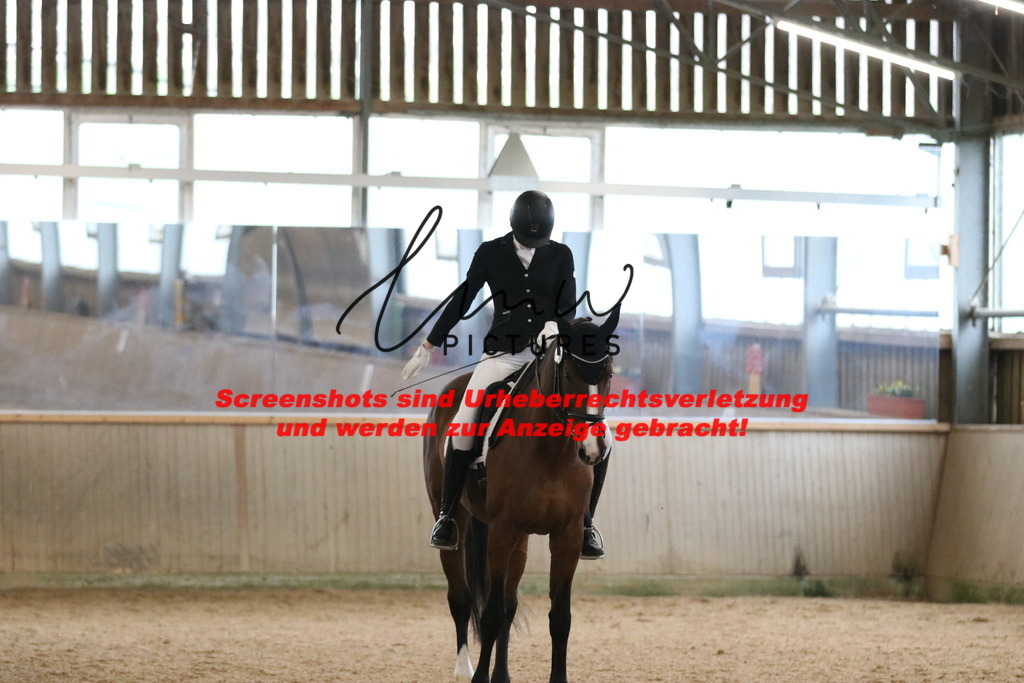 IMG_6747 | lmwpictures - Realisiert mit Pictrs.com