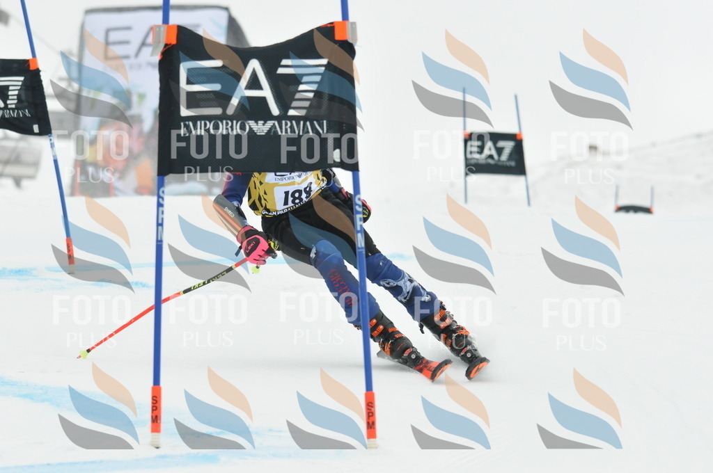 DSC_8725 | holidayphoto