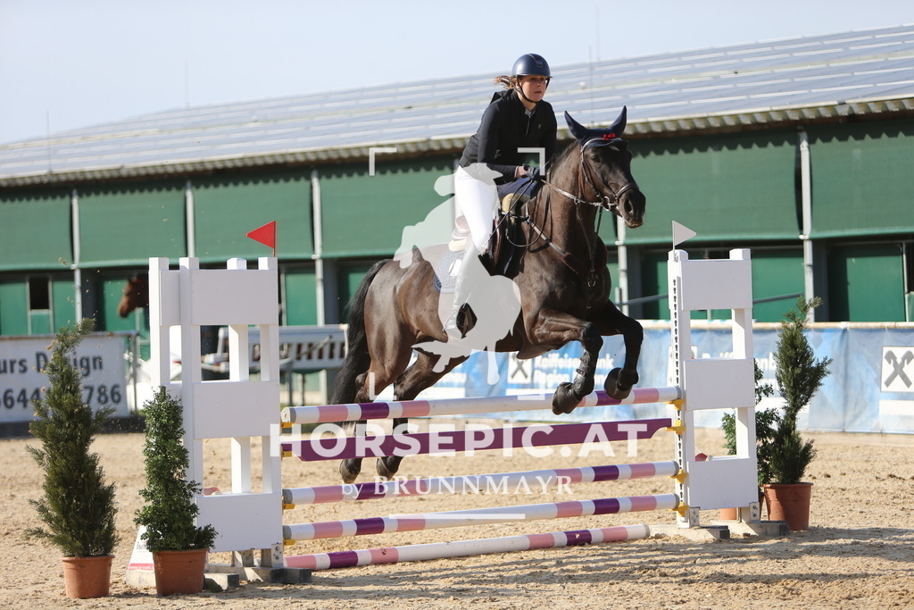 DL2Q4154 | Willkommen bei Brunnmayr - Design & Fotografie – Ihrem Spezialisten für Reitturniere und Pferdeveranstaltungen in Oberösterreich, Salzburg und Bayern! Seit über 17 Jahren sind wir leidenschaftlich dabei.