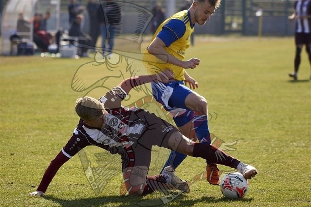 BFC Dynamo vs. FSV 63 Luckenwalde 147 | mythos-online-redaktion