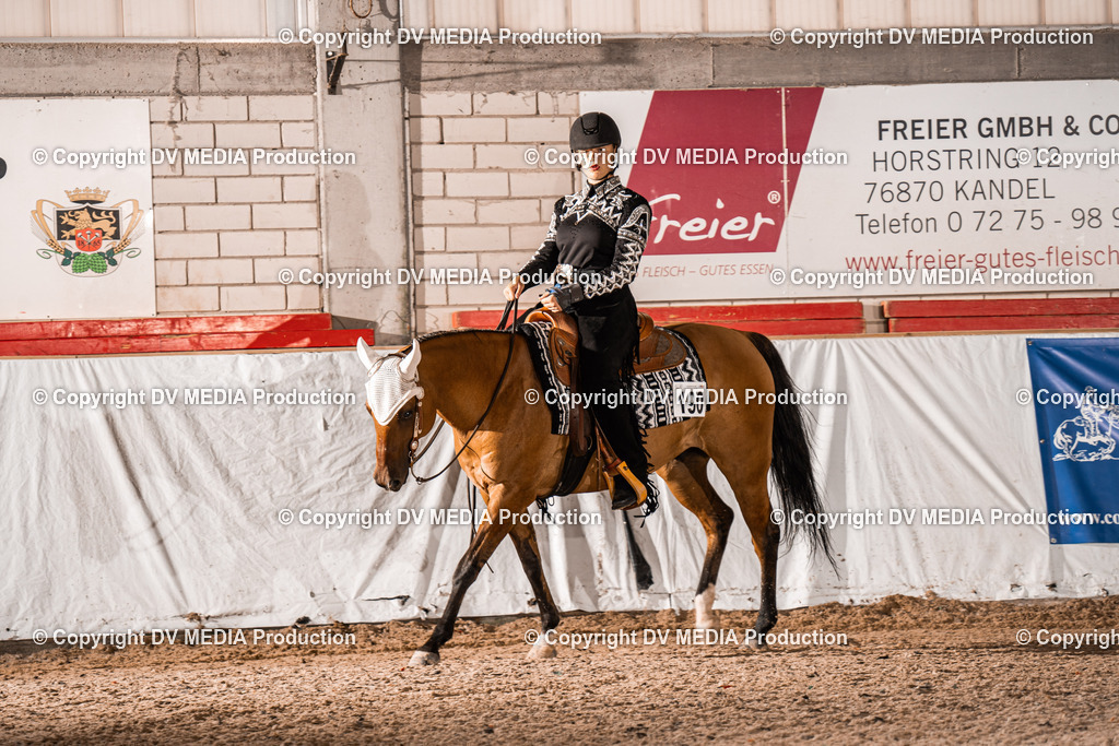 ZH300033 | dv-media-shop - Realisiert mit Pictrs.com