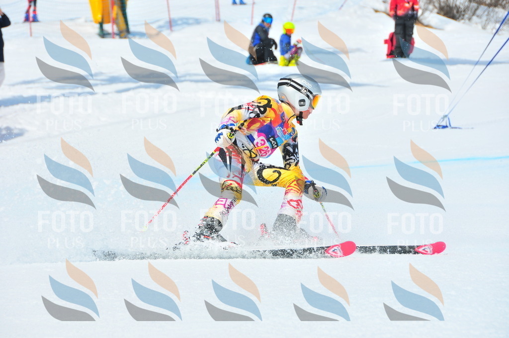 DSC_6767 | holidayphoto