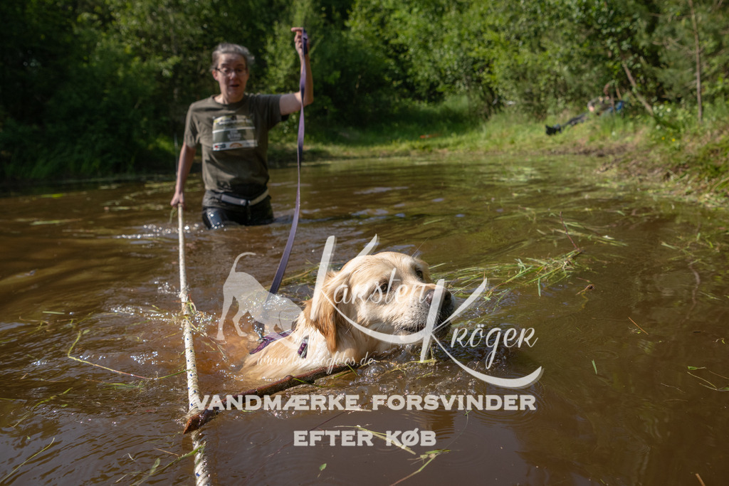 1619DKK993919 | kk-dogfotos