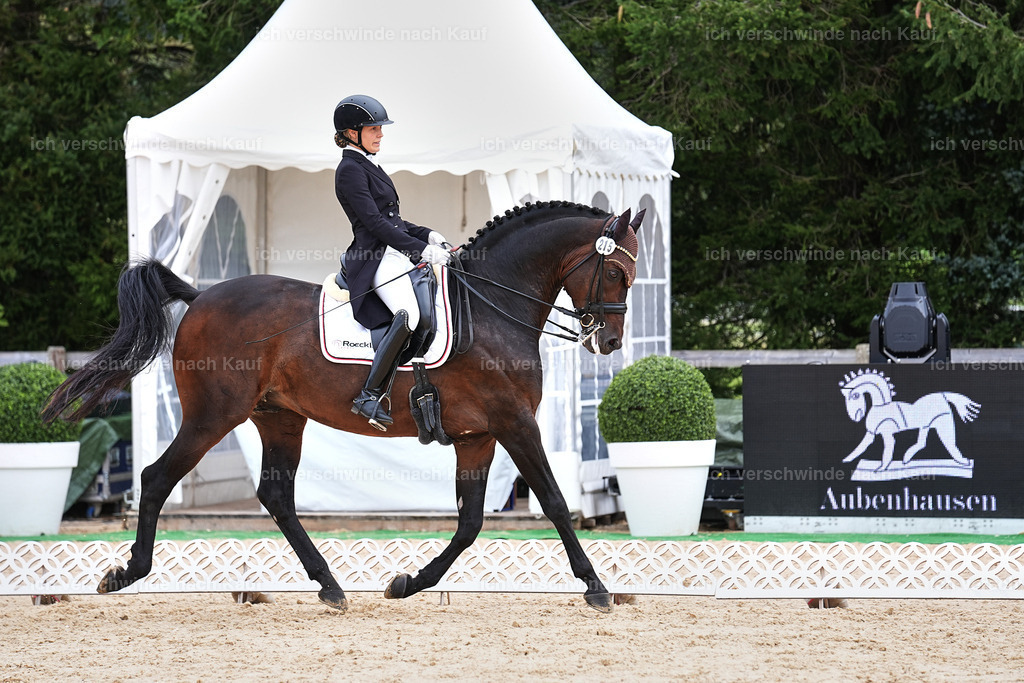 11-215-Dressur S___-Marixx-1743 | working equitationturnier fotograf videograf stoibphotography marixx film working equitation deutschland reitsport turnierfotografie eventfotografie equestrian events