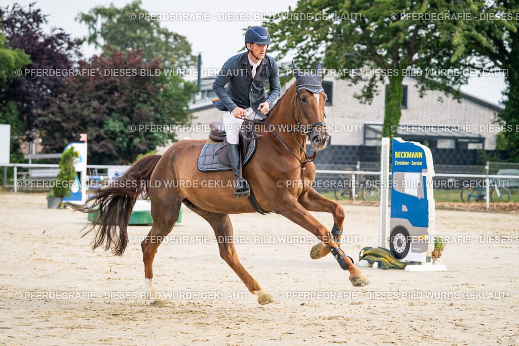 DSC08849 | Pferdegrafie