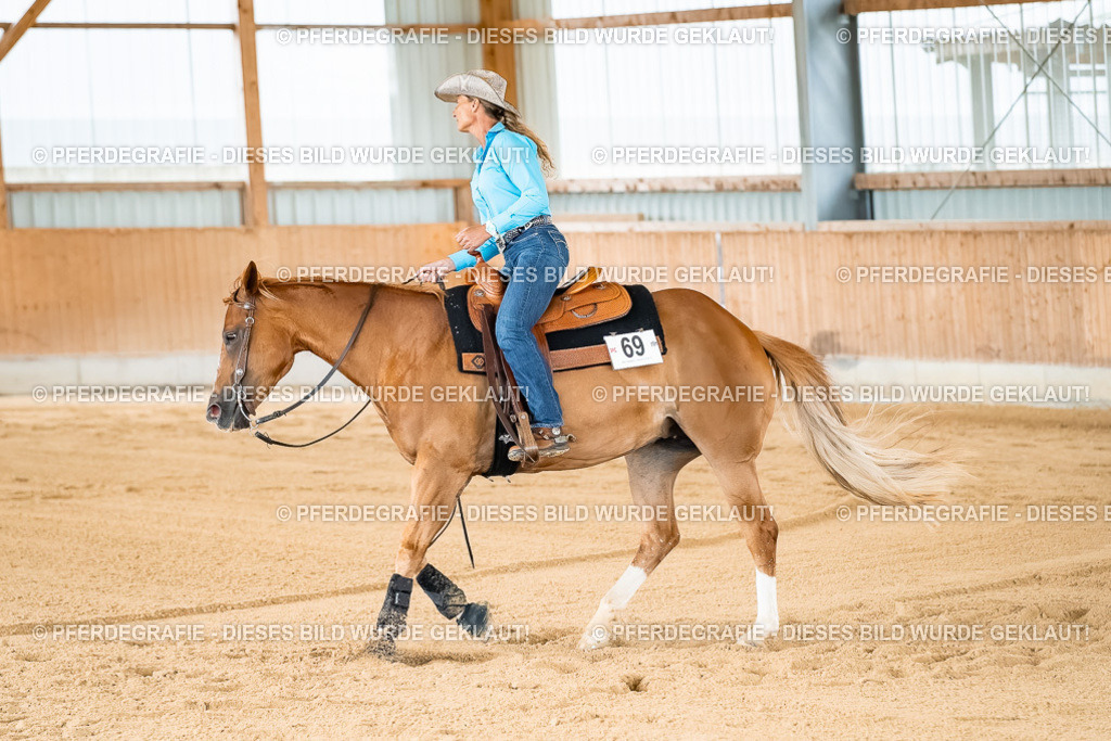 DSC02155 | Pferdegrafie