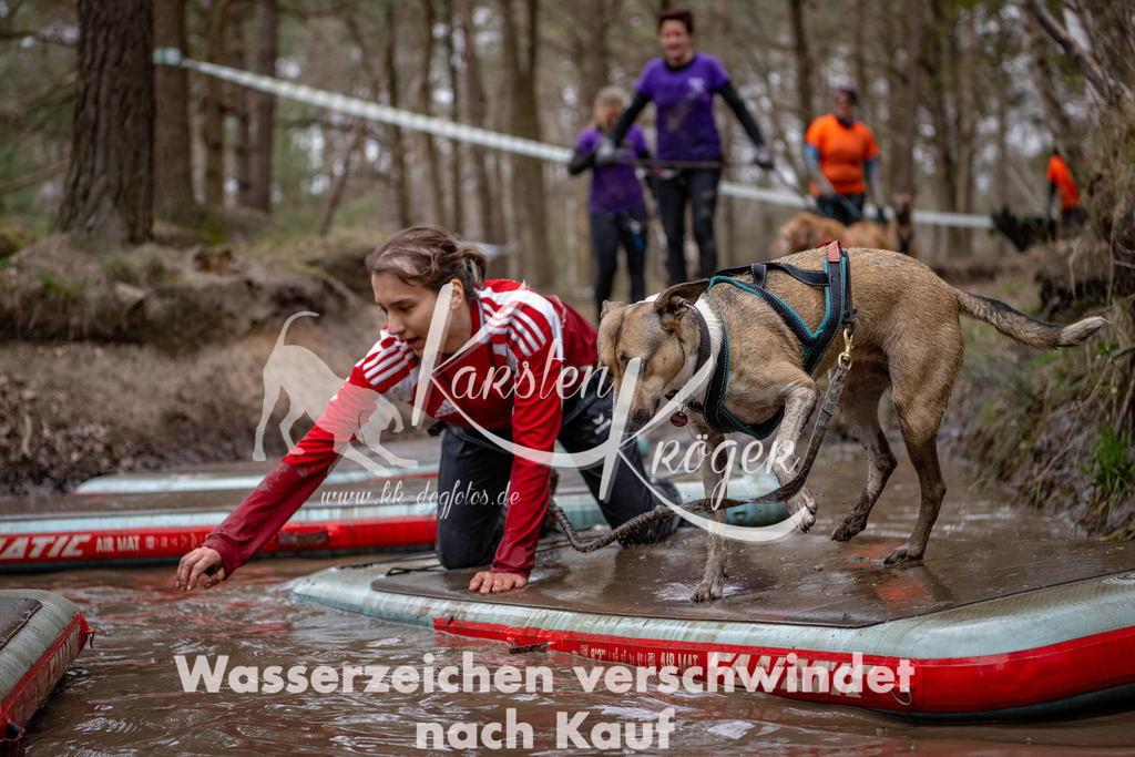 1233DSC_7024-2 | kk-dogfotos