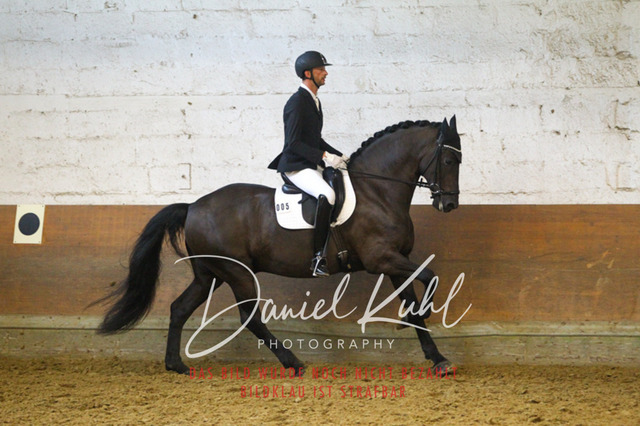 DKP43748 | Turniersportfotografie; Pferdefotografie; Dressurfotografie