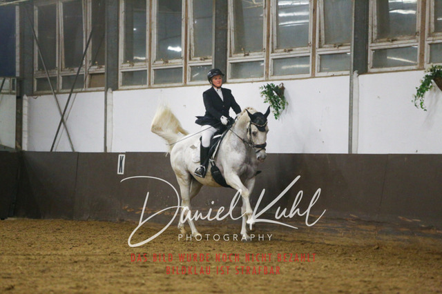 IMG_8405 | Turniersportfotografie; Pferdefotografie; Dressurfotografie