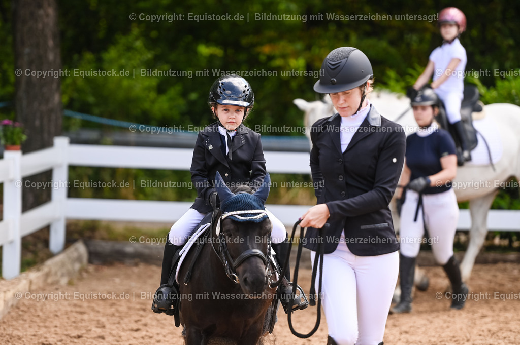 20230716_11_Führzügel-WB_0219 | equistock