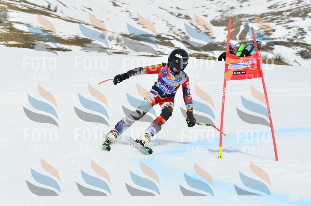 _ELE2856 | holidayphoto