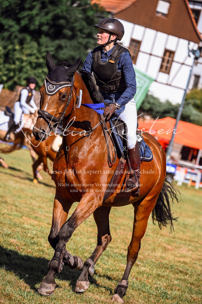 DSC_1197 | Pferde- und Turnierfotografie in Westsachsen. Pferdeportraits, Auftragszeichnungen und intuitive Kunst.