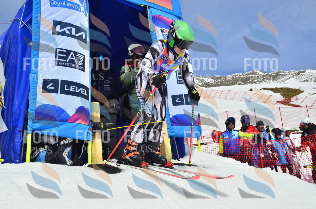 _ELE1943 | holidayphoto