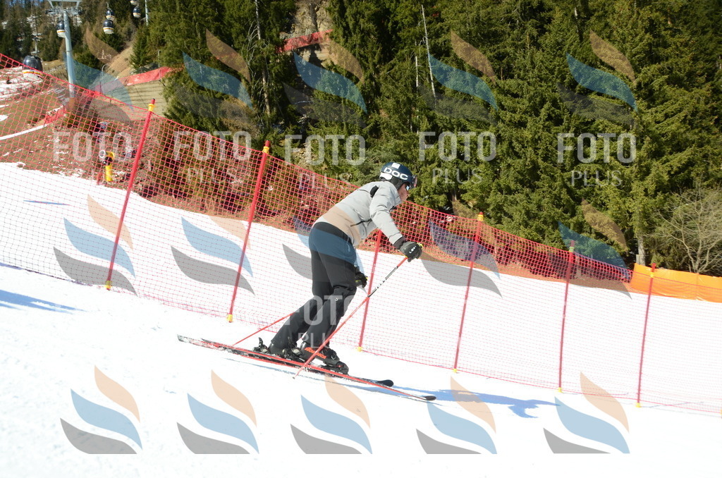 C6850 | holidayphoto