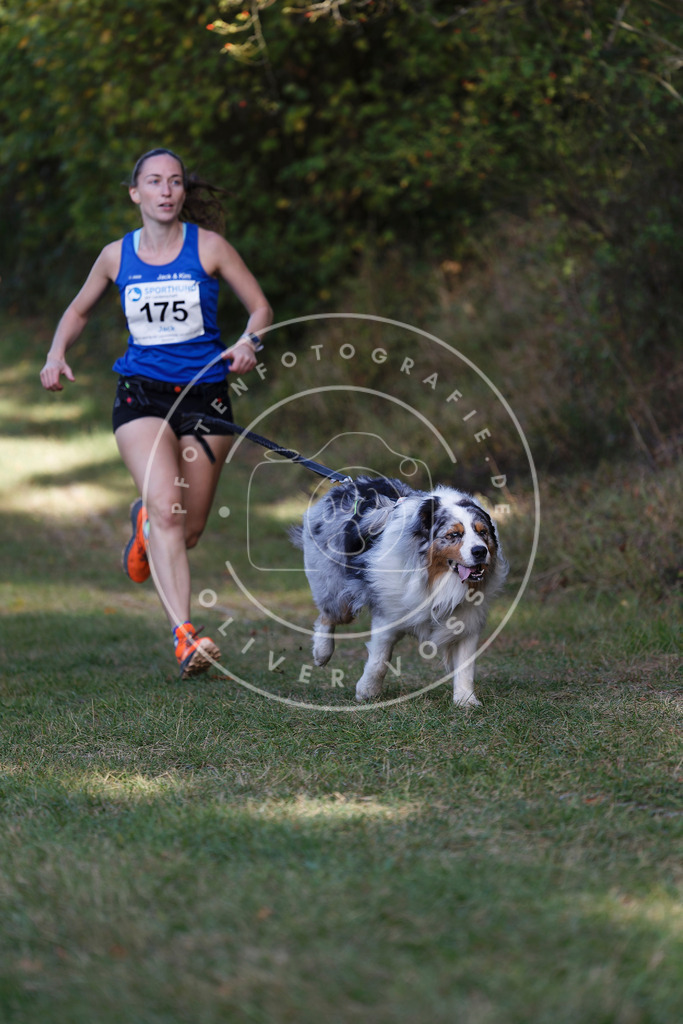 0L8A5588 | Hundefotografie, Tierfotograf, Pfotenfotografie, Fotoshooting Hund, Hunde Portrait, Hundesport, Hundeportraits, Heideshooting, Hunde, Sportfotograf, Hundefotograf, Turnierhundsport, THS,  - Realisiert mit Pictrs.com