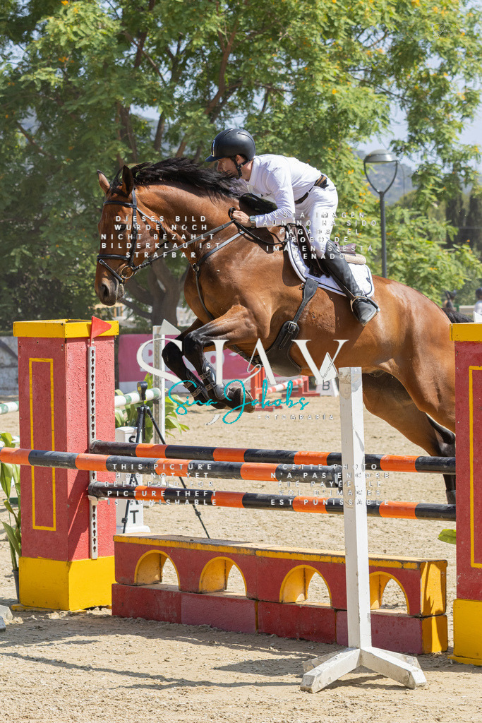 IMG_3484 | s-jay-photography - Realisiert mit Pictrs.com