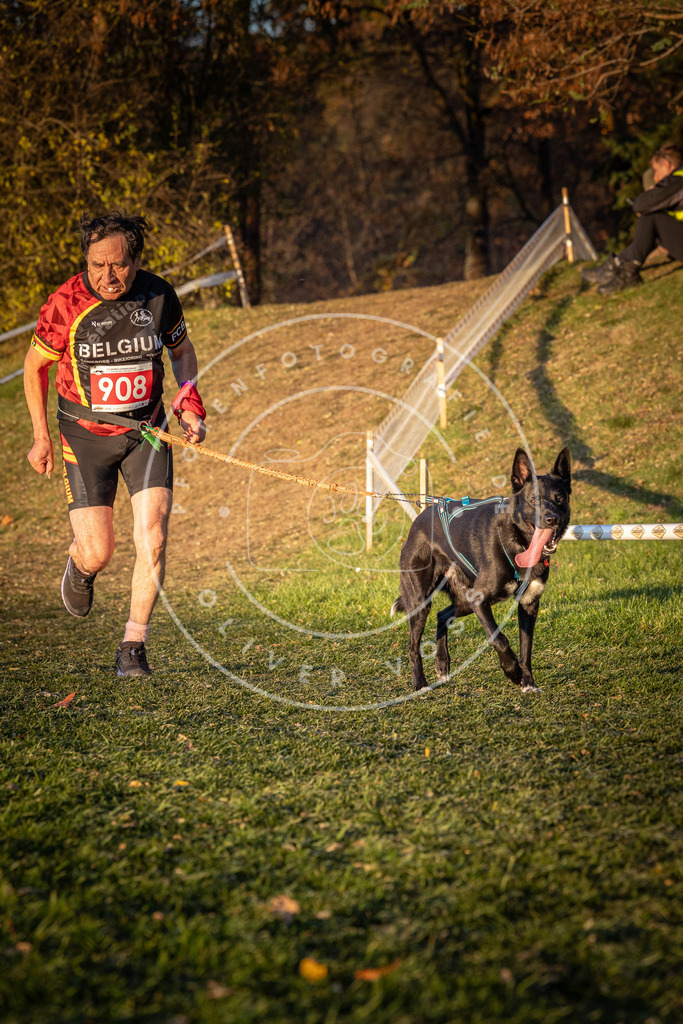 CaniXpix_0L8A1509 | Hundefotografie, Tierfotograf, Pfotenfotografie, Fotoshooting Hund, Hunde Portrait, Hundesport, Hundeportraits, Heideshooting, Hunde, Sportfotograf, Hundefotograf, Turnierhundsport, THS,  - Realisiert mit Pictrs.com