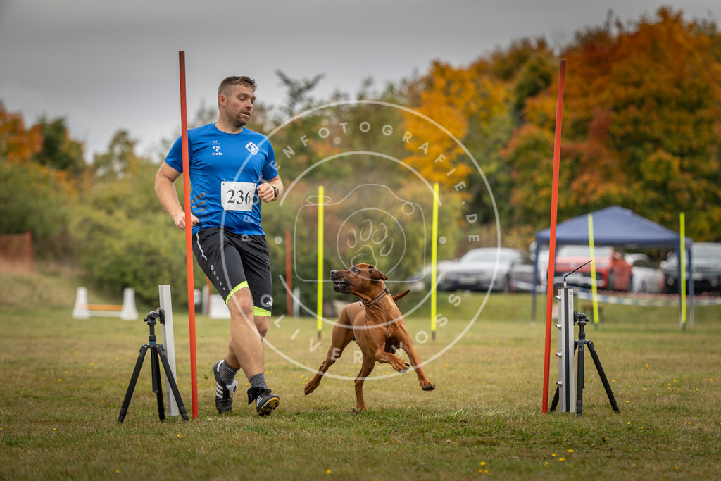 Pfotenfotografie_DV3A5265 | Hundefotografie, Tierfotograf, Pfotenfotografie, Fotoshooting Hund, Hunde Portrait, Hundesport, Hundeportraits, Heideshooting, Hunde, Sportfotograf, Hundefotograf, Turnierhundsport, THS,  - Realisiert mit Pictrs.com