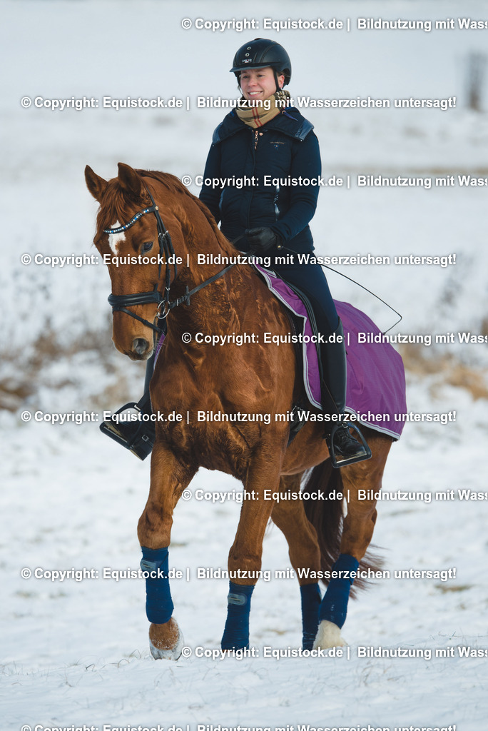 20170107_Reiterin mit Pferd im Schnee_0002 1 | Foto: Thomas Hartig