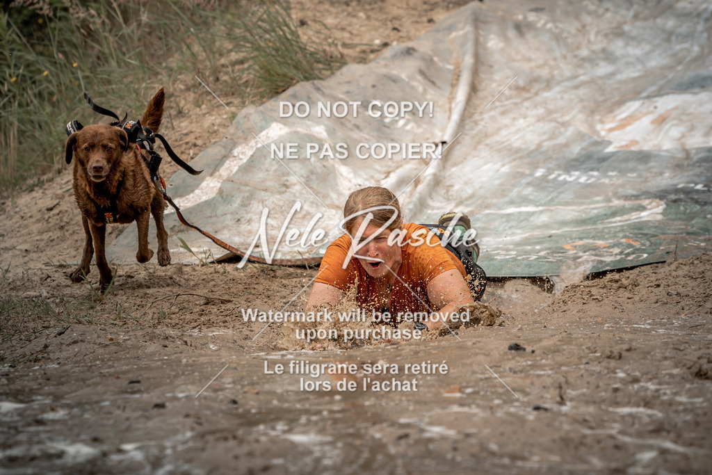 nelerasche_sa1230-1300_29 | nelerasche