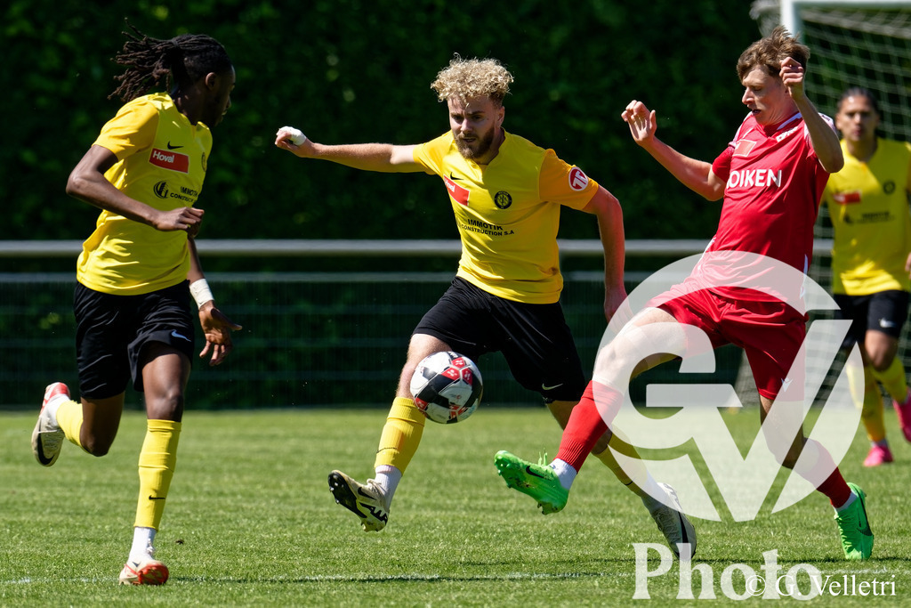 DSC_7304 | Velletri Photo