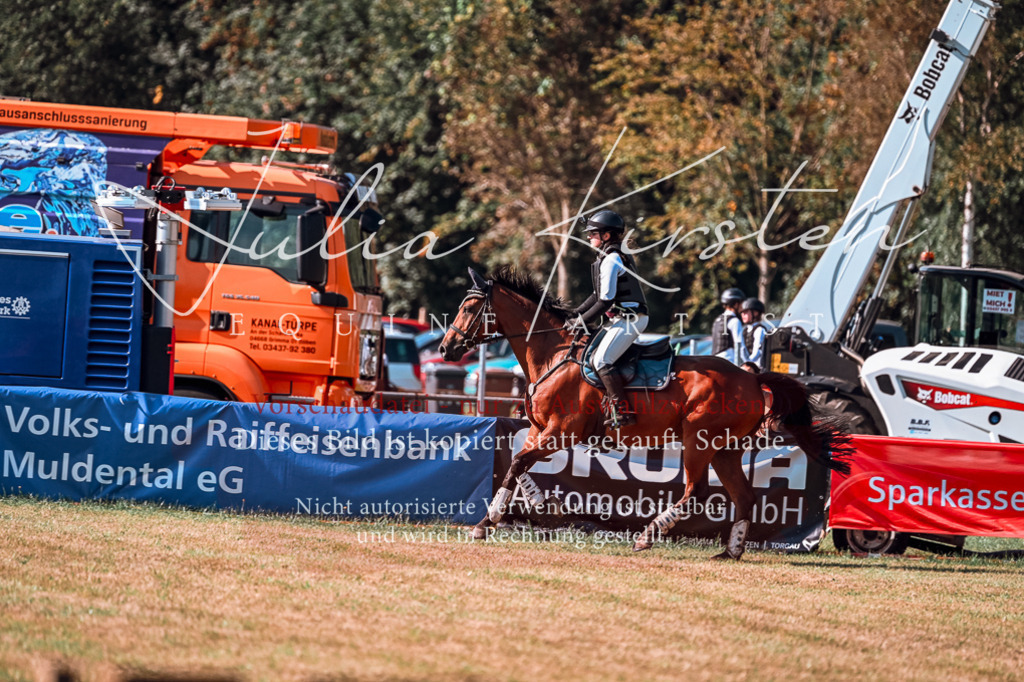 DSC_0722 | Pferde- und Turnierfotografie in Westsachsen. Pferdeportraits, Auftragszeichnungen und intuitive Kunst.