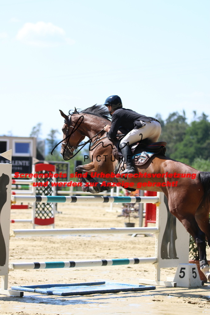 IMG_2873 | lmwpictures - Realisiert mit Pictrs.com