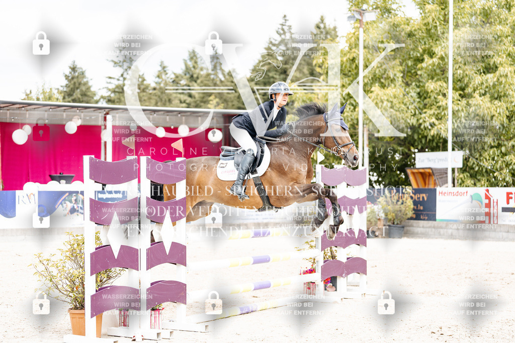 CK909282 | Turnierfotografie Pferdefotografie Trier Rheinland-Pfalz Pferdesport Reitsport Tierfotografie Sportfotografie Pferdevideo Pferdevideografie Equestrianvideography equestrianphotography  - Realisiert mit Pictrs.com