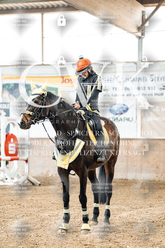 CK905371 | Turnierfotografie Pferdefotografie Trier Rheinland-Pfalz Pferdesport Reitsport Tierfotografie Sportfotografie Pferdevideo Pferdevideografie Equestrianvideography equestrianphotography  - Realisiert mit Pictrs.com