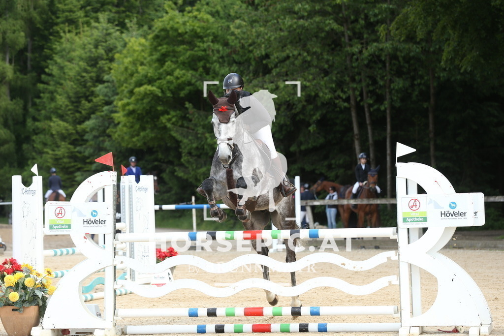 DL2Q6670 | Willkommen bei Brunnmayr - Design & Fotografie – Ihrem Spezialisten für Reitturniere und Pferdeveranstaltungen in Oberösterreich, Salzburg und Bayern! Seit über 17 Jahren sind wir leidenschaftlich dabei.