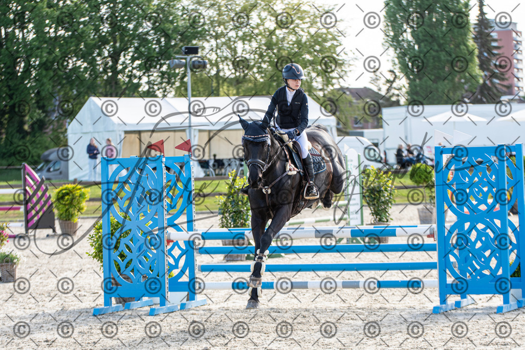 KPT_4415 | andre_photographic