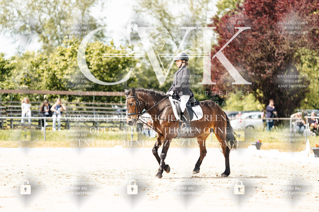 CK901851 | Turnierfotografie Pferdefotografie Trier Rheinland-Pfalz Pferdesport Reitsport Tierfotografie Sportfotografie Pferdevideo Pferdevideografie Equestrianvideography equestrianphotography  - Realisiert mit Pictrs.com