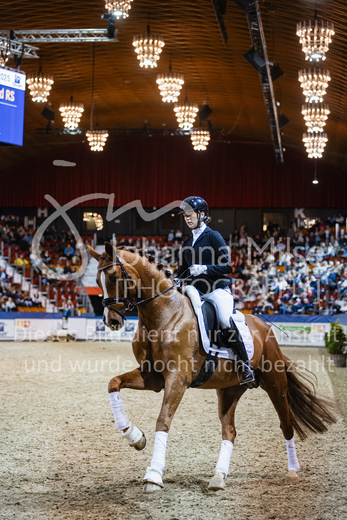250108_Muenster_Hengstpräsentation-154 | Deine schönsten Turniermomente als professionelle Fotos! Entdecke hochwertige Pferdesport-Fotografie im Online-Shop. Jetzt Fotos finden & bestellen!