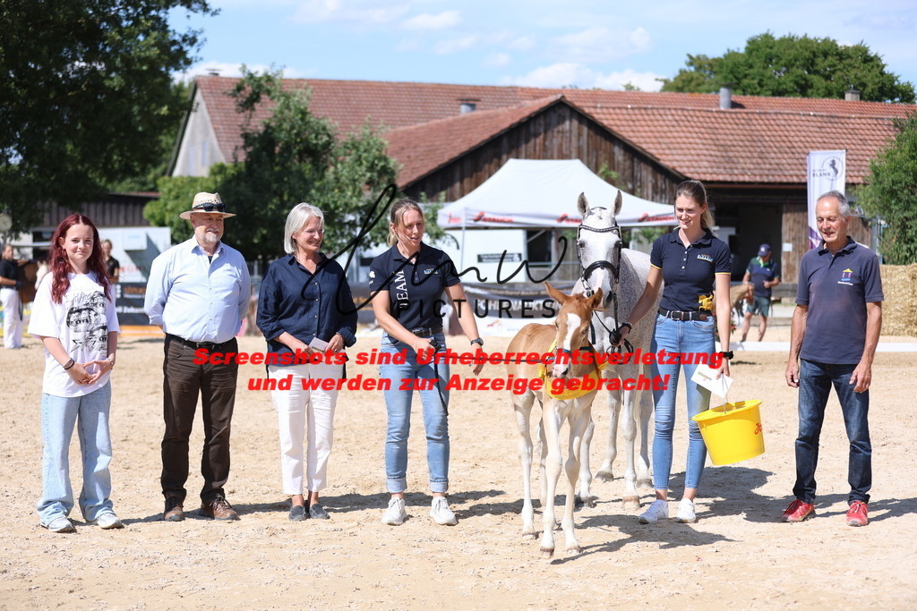 Fohlenschau_Schwäbisch_Hall_Ponys_SIEGERFOHLEN_KN 43_4 | lmwpictures - Realisiert mit Pictrs.com