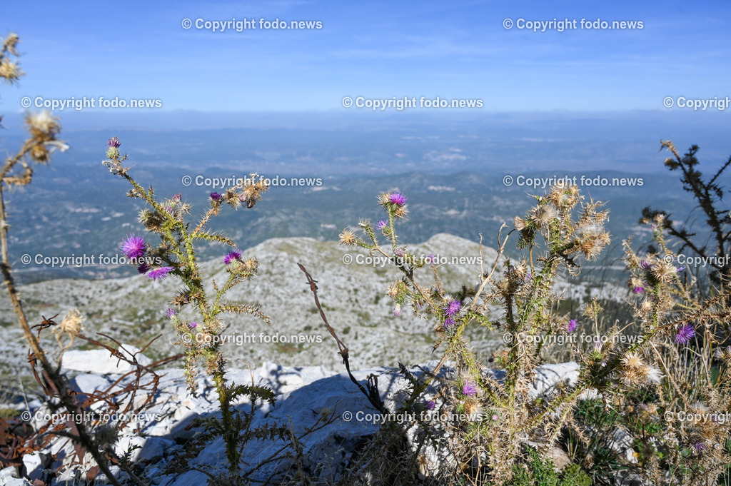 Kroatien_ Biokovo Naturpark_ 13.10.2023-48 | 13.10.2023, Kroatien, HRV, Naturpark Biokovo im Bild Naturpark Biokovo, Skywalk, Sv. Jure, St. George

Der Park erstreckt sich über eine Flaeche von 19.550 Hektar und umfasst einen circa 30 km langen und bis zu 7 km breiten, sich in nordwestlich-suedoestlicher Richtung erstreckenden Teil des Biokovo-Gebirges von Dubci bis nach Gornja Igrane. Er umfasst das Teilgebiete der Staedte Makarska und Vrgorac sowie der Gemeinden Baška Voda, Brela, Podgora, Šestanovac, Tučepi, Zadvarje und Zagvozd. Der Park liegt auf einer Hoehe von 200 bis 1762 m. i. J.; der Sveti Jure (Heiliger Georg) als hoechster Berg des Parks ist zugleich der zweithoechste Gipfel in Kroatien.
Quelle: Wikipedia