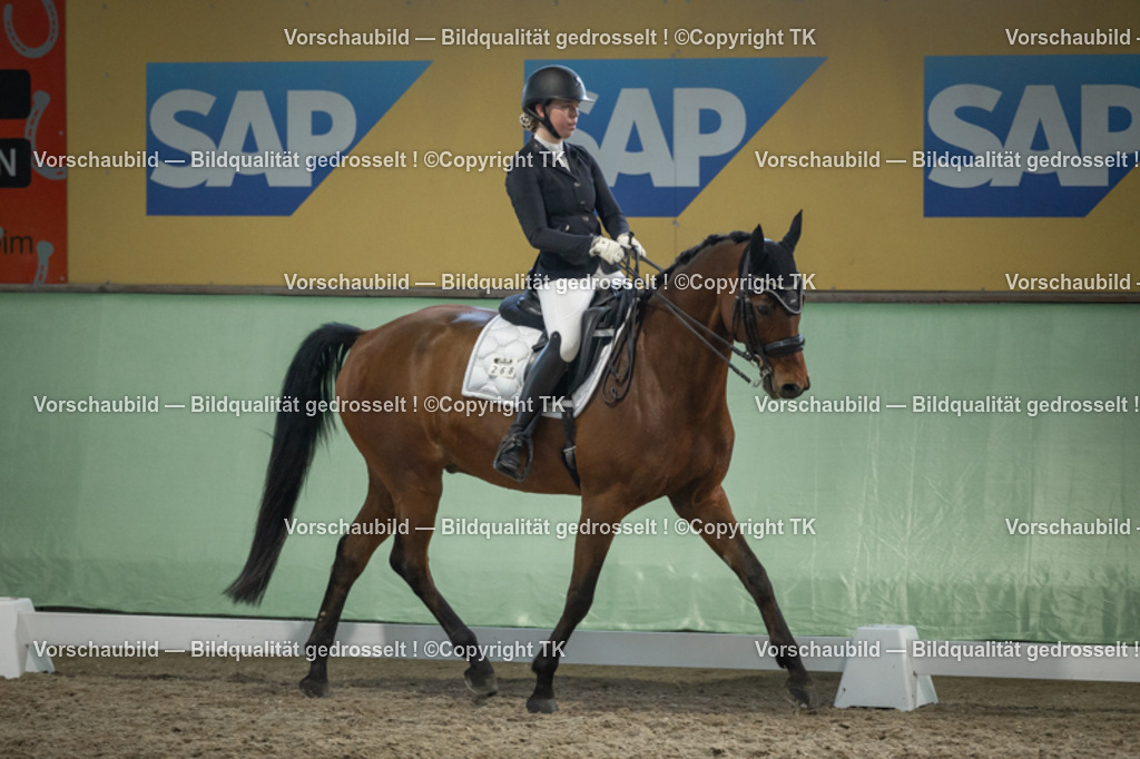 _D5A3555 | Emotionale Pferde- & People-Fotografie rund um Heidelberg, Leimen & Umgebung. Natürliche Fotos von Pferd, Mensch & Familie. Jetzt Termin sichern!