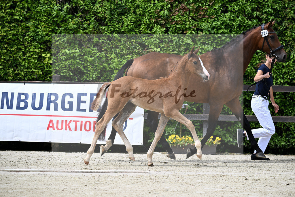 Kat-Nr. 3 Bon Esprit x Zackerey_Riederer_25240164 | hf-fotografie - Realisiert mit Pictrs.com