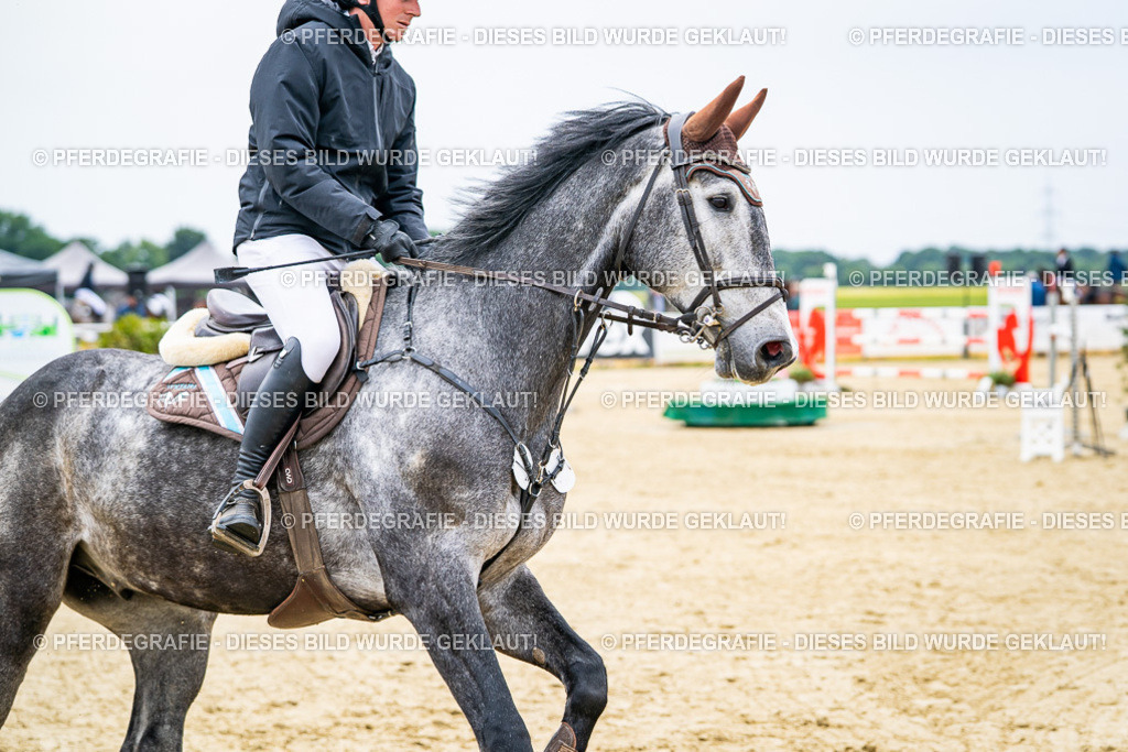 DSC06728 | Pferdegrafie