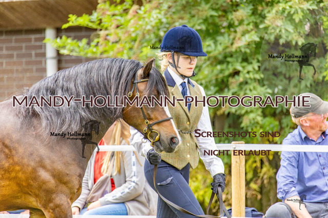 IG WELSH M 2024-61 | mandyhollmannphotographie