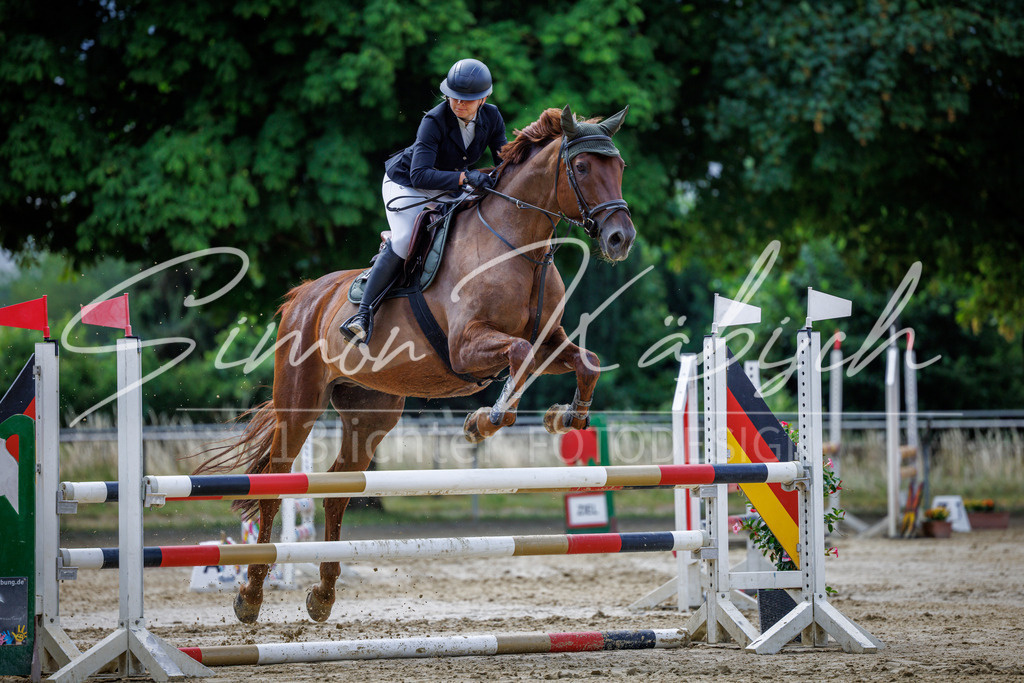 20260705-_3LI4162 | Tierfotografie Pferde, Hunde, Katzen, Haustiere.
Turnierfotografie Reitturniere, Reiten, Springreiten, Dressur in Hanau, dem Main-Kinzig-Kreis und dem Rhein-Main- Gebiet um Frankfurt